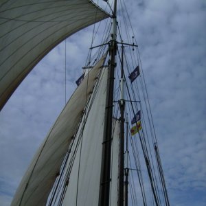 BILD6